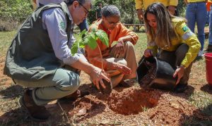 Cerrado: Marina Silva defende aumento da produção agrícola na região