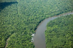 Pará sanciona lei que capta quase R$ 3 bilhões destinados a programas ambientais e sociais