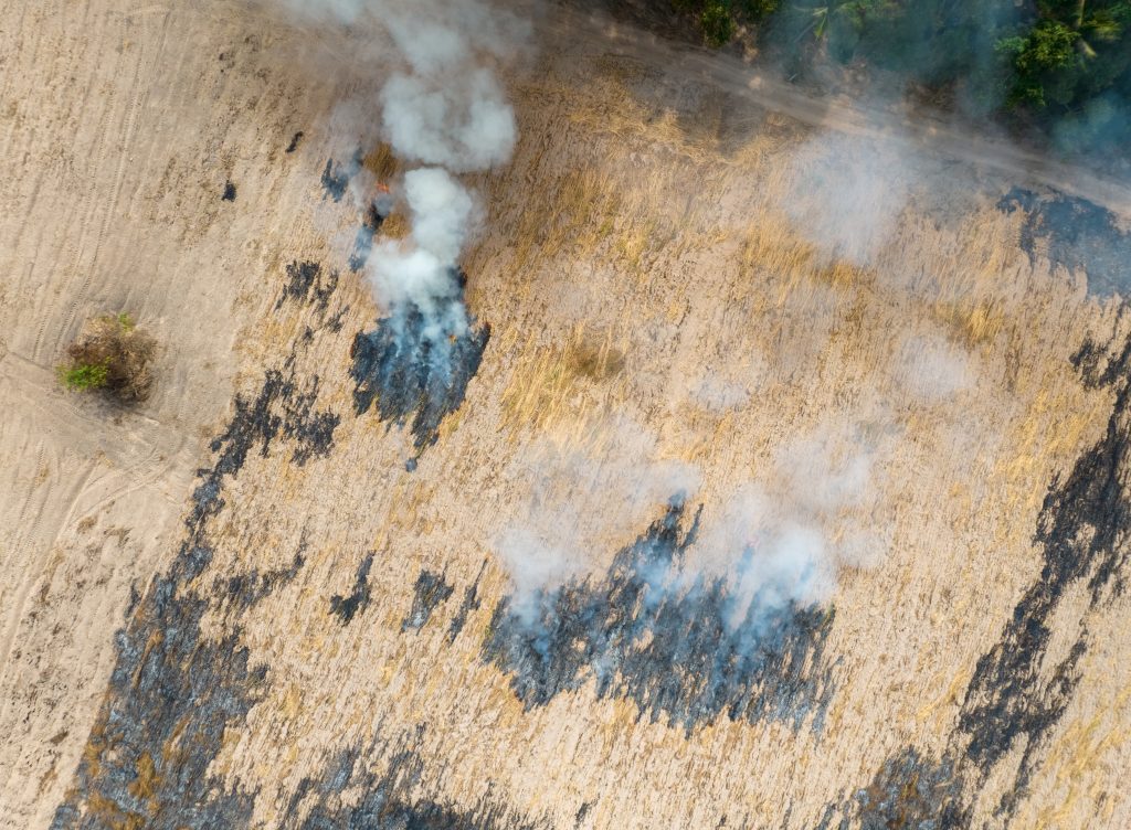 Extremos Climáticos, Agro, Incêndio