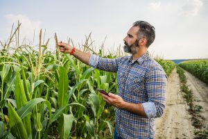 Dia do agrônomo: desafios do futuro na era da sustentabilidade