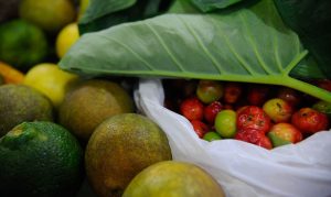 6ª Conferência Nacional de segurança alimentar e nutricional será em dezembro