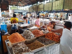 Alimento: estudo aponta caminhos para reduzir fome e desperdício