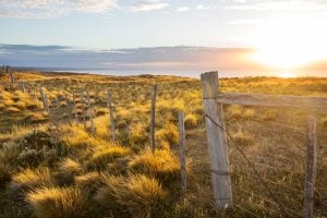 Projeto de R$ 40 milhões une produção agrícola e conservação no Pampa