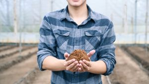 AgroInsper: expedição mostra a realidade do agro aos jovens da cidade