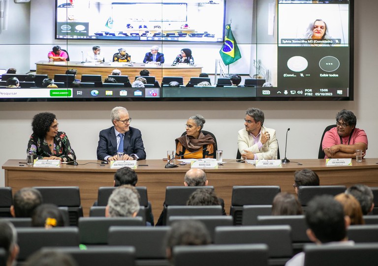 Ministério Do Meio Ambiente, Redd