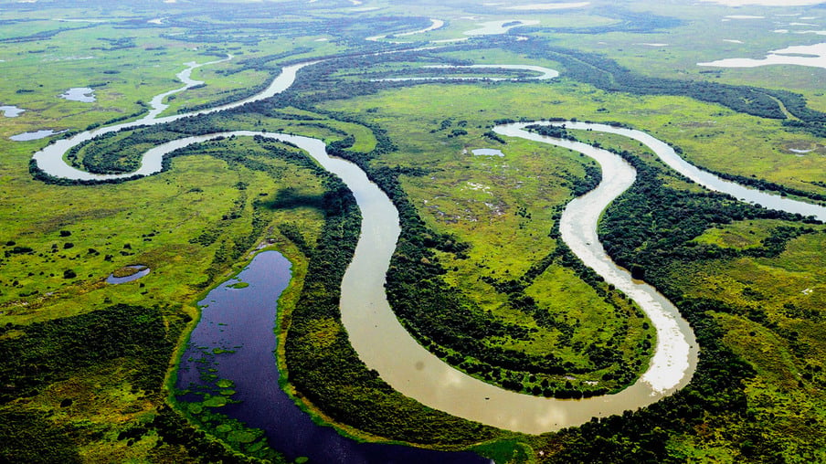 Pantanal