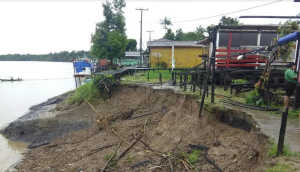 Entenda o fenômeno das ‘terras caídas’ que deixou mais de 200 desabrigados na seca do Amazonas