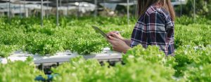 Programa “Mulheres Superagro” impulsiona participação feminina no setor