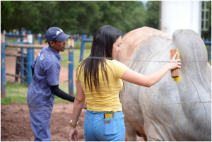 82% dos brasileiros preferem comprar de empresas que cuidam do bem-estar animal