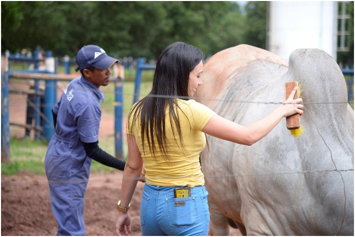 Empresa, Bem-Estar Animal