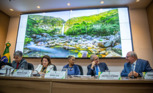 Governo federal lança plano para zerar desmatamento no Cerrado