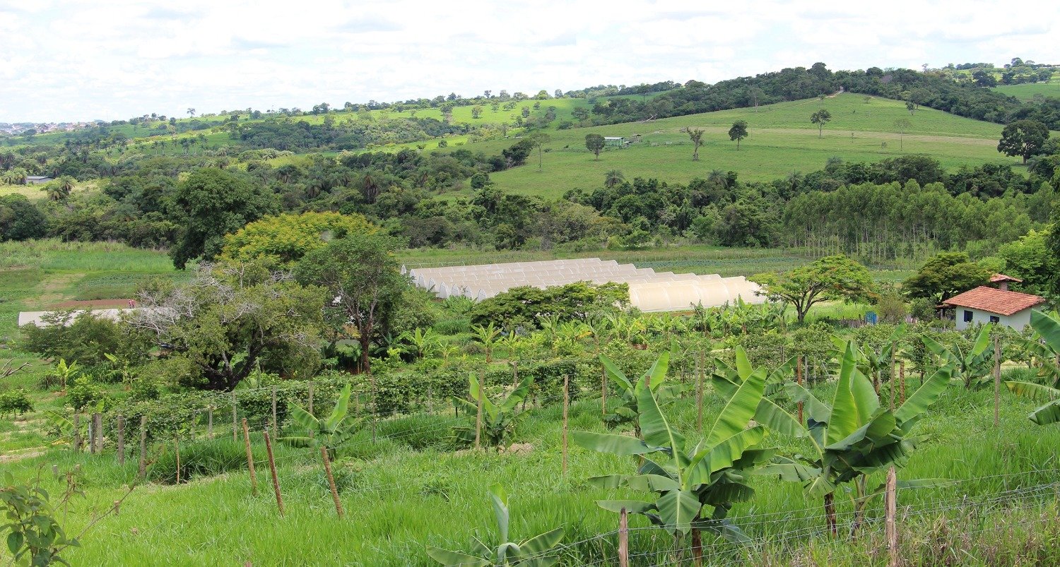 Projeto Escritórios Verdes já regularizou 10 mil propriedades rurais