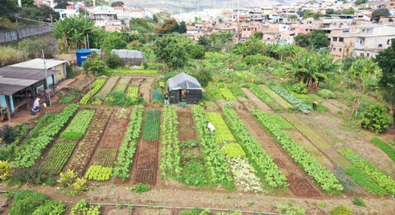 Agricultura Urbana