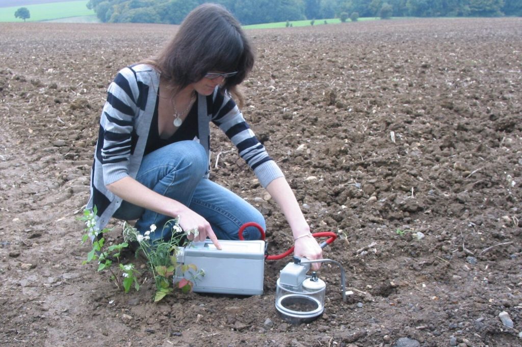 Carbon Agriculture, Soy