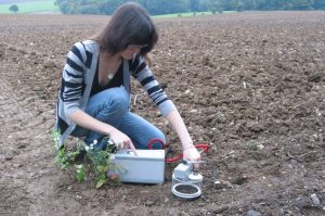 Carbon farming: a sustainable agriculture technique that keeps soil healthy and combats climate change