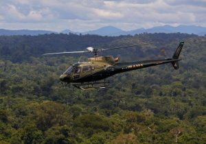 Desmatamento na Amazônia cai 50% em 2023