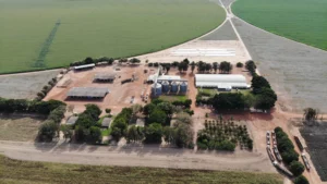 Fazendas com agricultura regenerativa em larga escala ganham certificação internacional