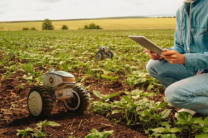 Agricultura digital: IA e a evolução do agronegócio