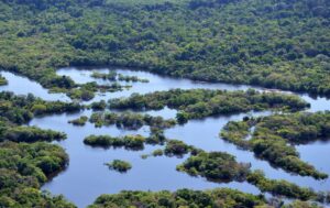 Projeto aprovado pelo Fundo Global para o Meio Ambiente (GEF) irá restaurar cerca de 26 mil hectares de áreas alagáveis na Amazônia