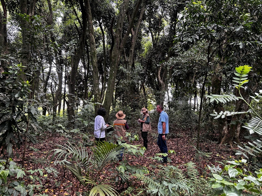 Itaipu quer promover o mais completo inventário florestal já realizado por uma hidrelétrica