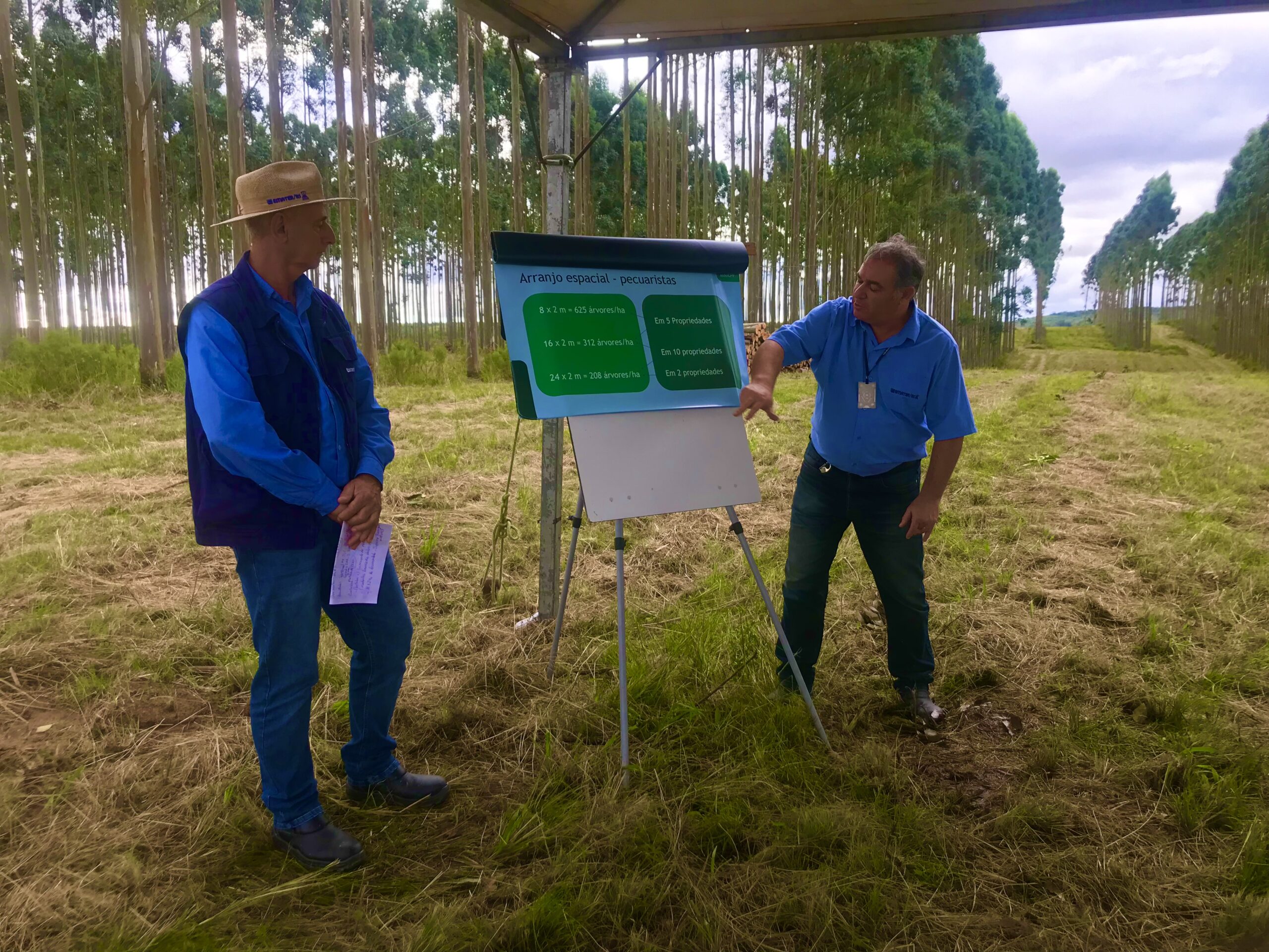CARAVANA REDE ILPF RS: a aliança sustentável entre o bioma pampa e os sistemas integrados
