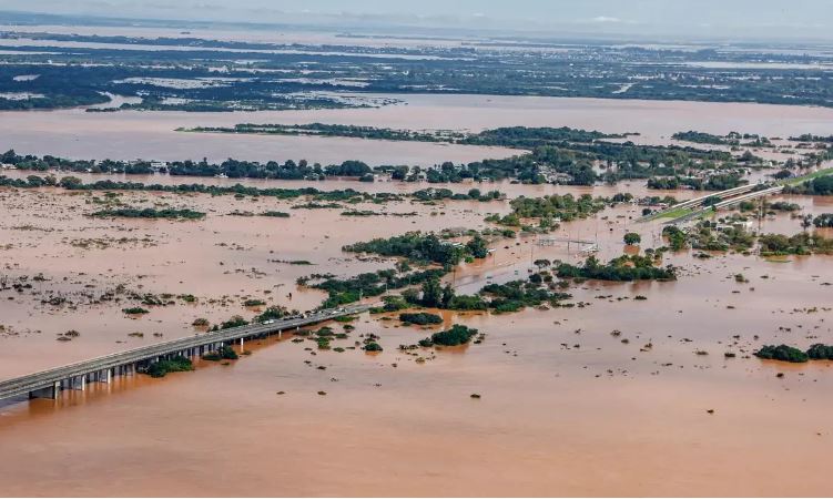 Embrapa monta plano emergencial para reestruturar agropecuária do RS