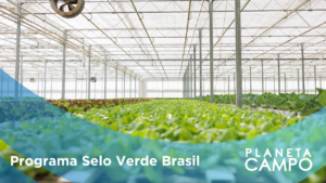 Governo Federal lança Programa Selo Verde Brasil para impulsionar sustentabilidade na produção agropecuária e Industrial