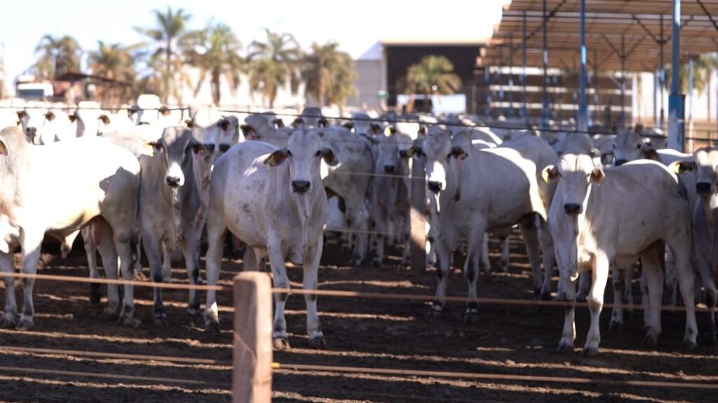 Centro De Inovacao | Planeta Campo