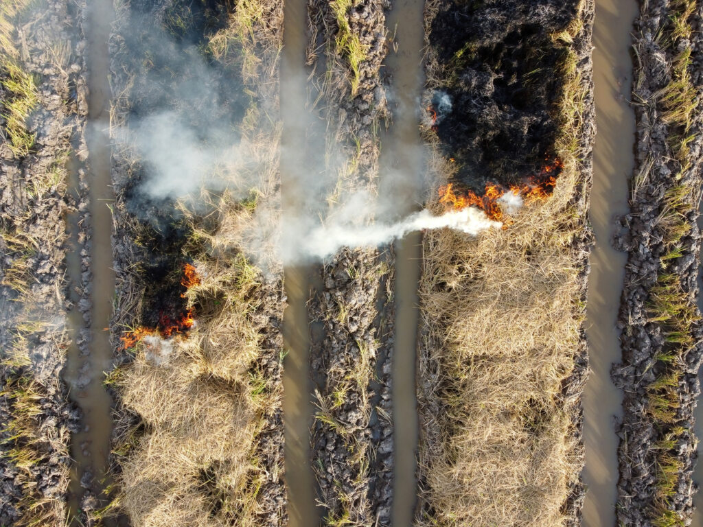 Burning Field Original 2164288 | Planeta Campo