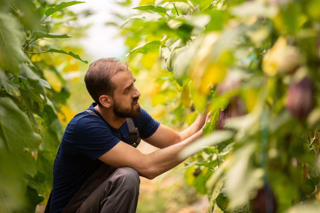 Farmer Studying His Plants 356530 | Planeta Campo