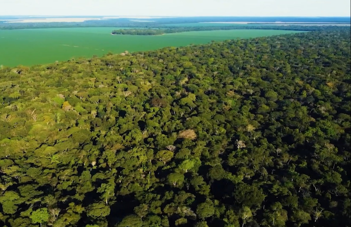 Programa Prem acelera regularização ambiental e reintegra pecuaristas ao mercado