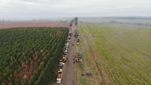 Entenda o conceito de função social da terra e seus impactos nas invasões rurais