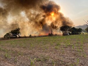 Ribeirão Preto enfrenta crise histórica de incêndios: Prefeito destaca ações de combate e prevenção