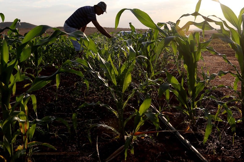 Entenda porquê o Brasil fez a maior e pior reforma agrária do mundo