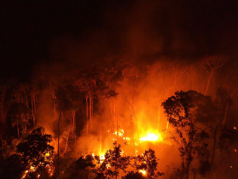 Reserva Legal em chamas: o desafio do manejo e combate ao fogo