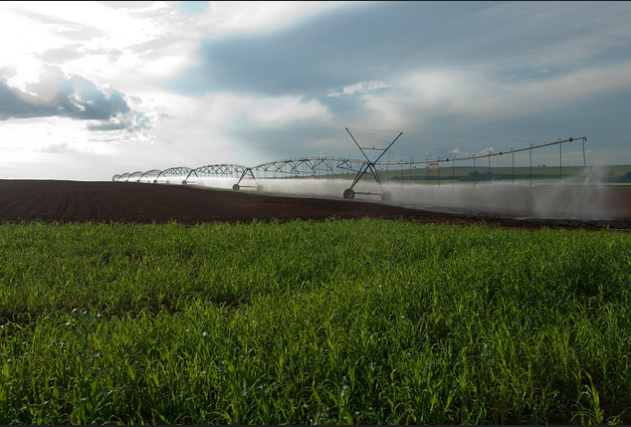 O agronegócio brasileiro como modelo de sustentabilidade global