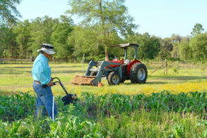 Brasil se torna potência alimentar global graças à pesquisa e tecnologia agropecuária