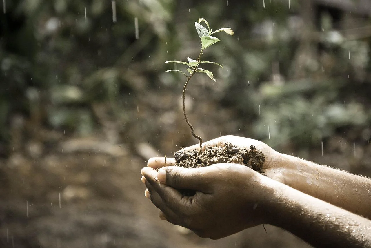 Bioinsumos podem gerar economia de US$ 5,1 bi anuais ao agro brasileiro