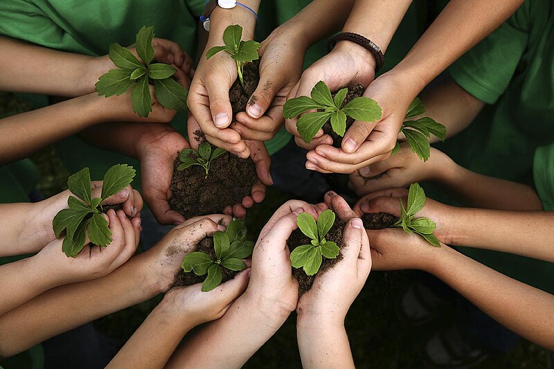 Educacion Ambiental Ninos | Planeta Campo