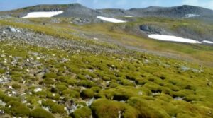 Ciclones e extremos climáticos desafiam o Brasil: Arthur Muller alerta para os próximos meses