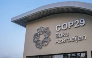 COP 29: Marcello Brito destaca importância da Amazônia e COP 30 para o futuro econômico do Brasil