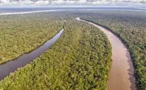 Escritório Verde no Acre desbloqueia propriedades para pecuaristas em 40 dias