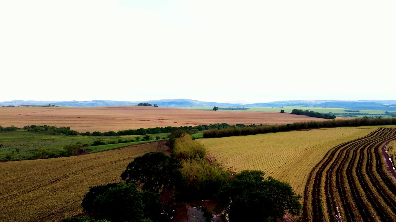 Sustentabilidade e alta performance: como a Fazenda Santa Lúcia revoluciona a produção de cana-de-açúcar