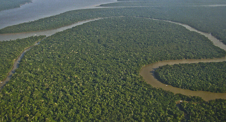 Sustentabilidade em foco: o papel do agro na COP 30 em Belém