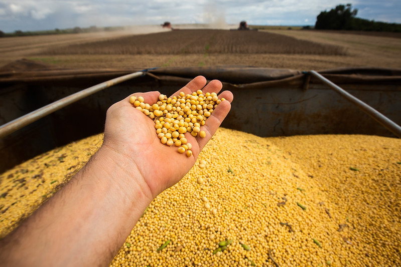 Moratória da Soja chega ao fim em Mato Grosso: novo marco para o setor agrícola