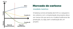 Modelo Mercado De Carbono