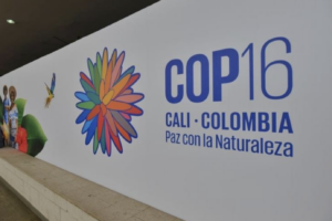 Cop16