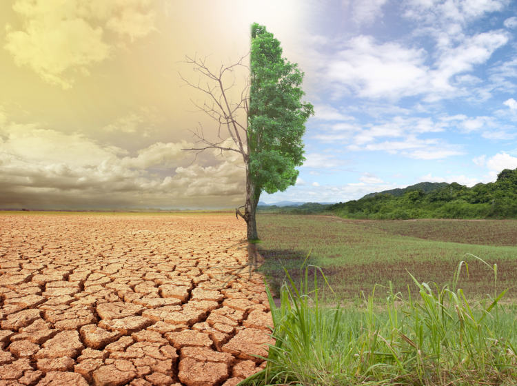 Clima em alerta: Arthur Müller explica o impacto das mudanças climáticas