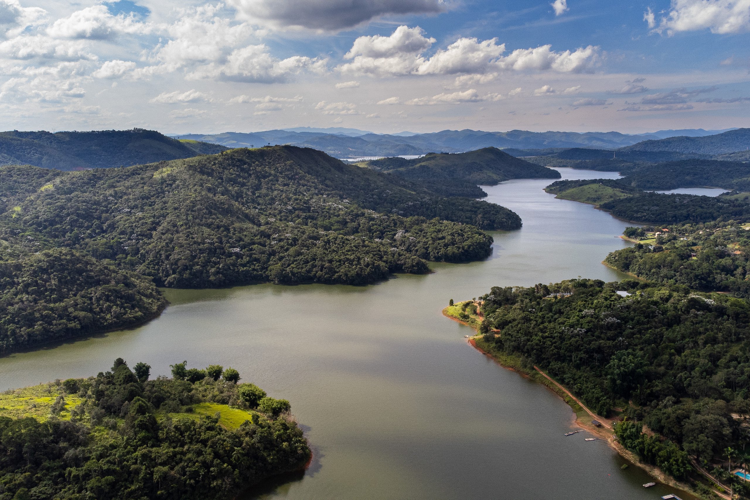 Como o Projeto RECA transforma áreas degradadas em florestas produtivas e sustentáveis