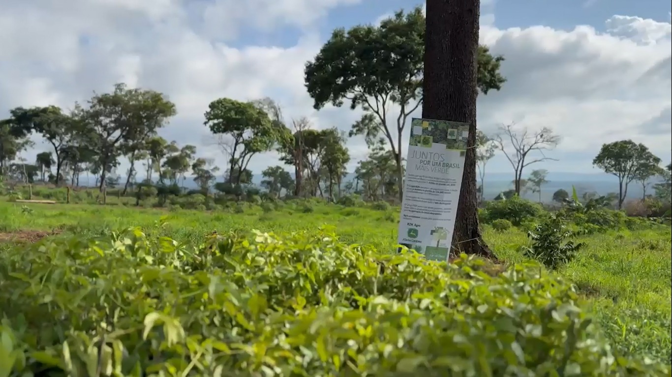 Projeto “Juntos por um Brasil Mais Verde” refloresta o Vale do Araguaia com mais de 234.000 mudas nativas